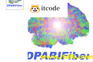 DPABIFIBER脑结构纤维与脑功能融合高阶课程